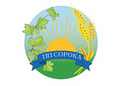ФЛП Сорока Игорь Федорович